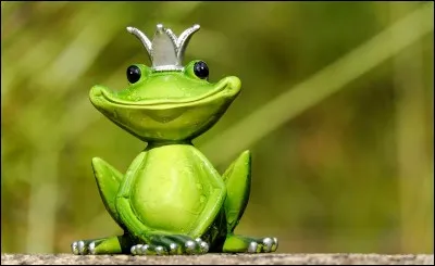 La grenouille casqu&eacute;e de Bruno a une sp&eacute;cificit&eacute;, laquelle?