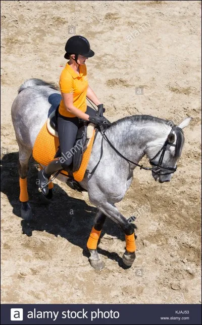 Pour changer de diagonal il faut :