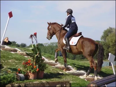 Que signifie T.R.E.C ?