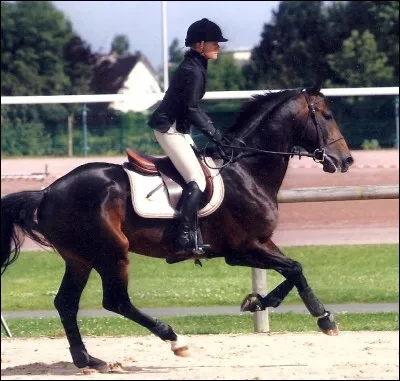 La posture. (cochez la bonne réponse)