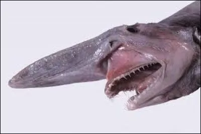 Mon nom porte le mot lutin.