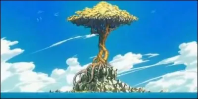 Que viennent chercher Yuri, Precht et Warrod sur l'île de Tenrô ?