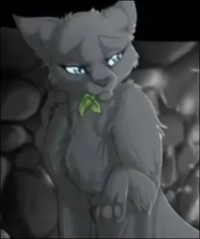 Lorsque vous partez, c'est l'aube. La vue en haut de la montagne est magnifique. Tu te rends vite compte que tu es le/la seul(e) &agrave; regarder la vue et que les autres sont tous partis accidentellement sans toi.