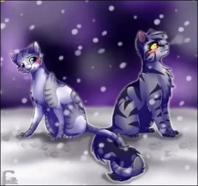 Pendant le voyage, tu as un faible pour un autre chat &eacute;lu et tu commences &agrave; te sentir amoureux/amoureuse de lui/d'elle.