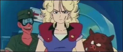 Dans quel lieu Husky tente-t-elle de voler les deux boules de cristal de Gokū ?