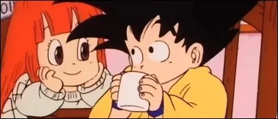 Comment se nomme la petite fille qui s'est liée d'amitié avec Gokū dans le village de Jingle ?