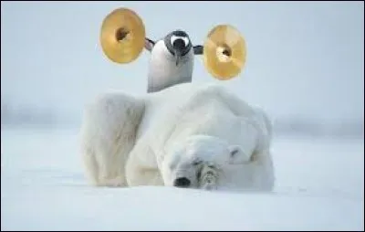 "Il est l'or, l'or de se réveiller".
Trouvez le film !