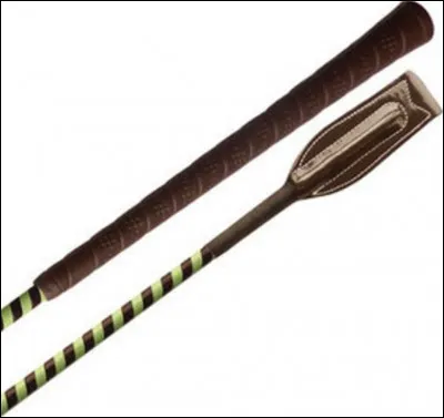 Comment se nomme la courroie de la cravache ?