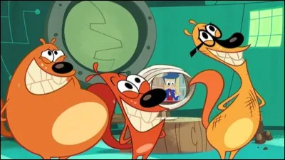 Lequel de ces trois écureuils est Maxus ?