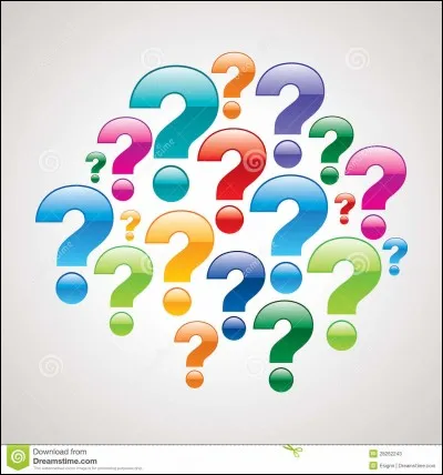 Dans ton groupe d'amis, tu es plutôt...