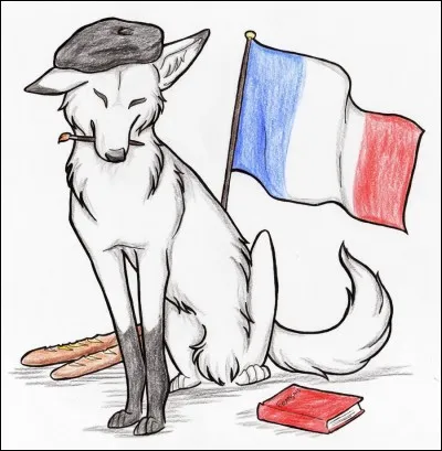 Complétez ce proverbe - au royaume des aveugles, les borgnes sont :