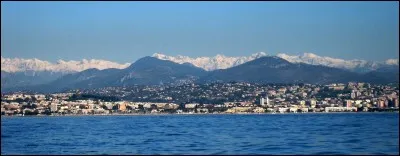 Je porte le numéro 6, je suis les :