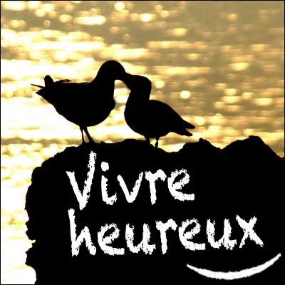 Et enfin, à quel point es-tu joyeux ?