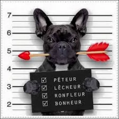 Qu'est-ce qui n'est pas écrit ?