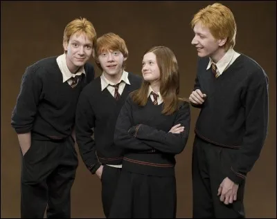 Comment s'appelle la maison de la famille Weasley ?