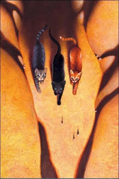 Qui est le ou la chat(te) de gauche?