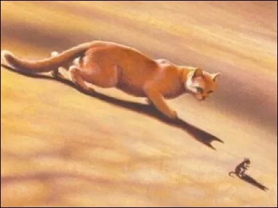 Cette chatte couleur sable... Très facile! Qui est-ce?