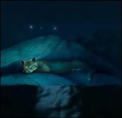 Qui est cette femelle qui vient de découvrir la Source de Lune ?