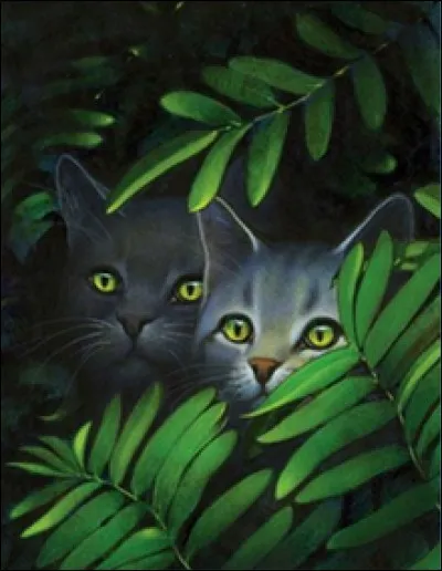 Cette image montre deux chats ! Qui est la femelle de droite ?