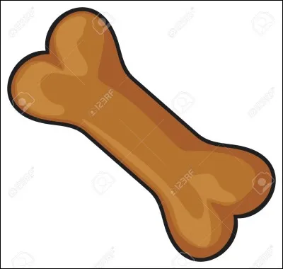 &Agrave; quel animal pense-t-on lorsqu'on parle d'os ?