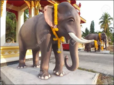 Quel animal n'a pas de trompe ?