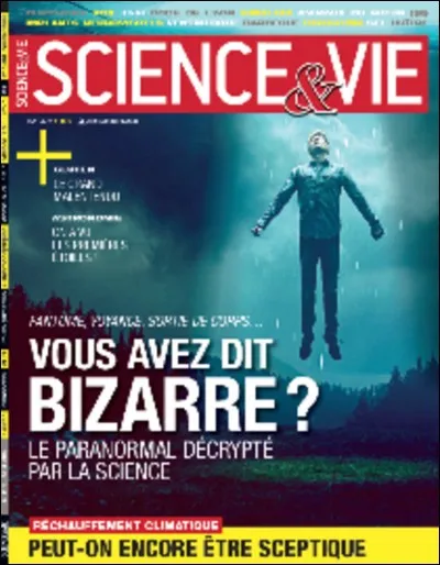 Certains résultats, récurrents, trop rapides et me paraissant douteux, je me force à ne pas tirer de conclusion hâtive, j'essaie de leur trouver des circonstances atténuantes, je me fais alors ...