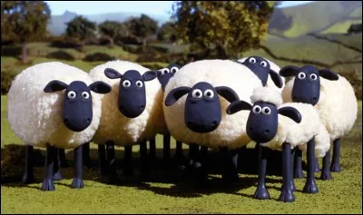 Quel animal dois-je compter afin de m'endormir plus rapidement ?