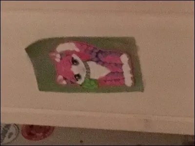 Quel genre de films aimes-tu ?