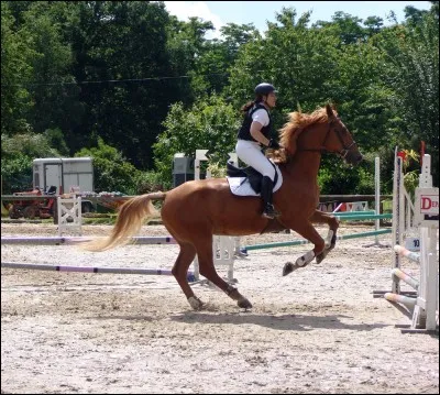 Laquelle de ces disciplines n'existe pas à cheval ?