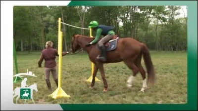 Laquelle de ces activités n'est pas équestre ?