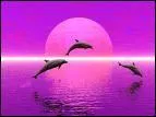 Le dauphin est un .....