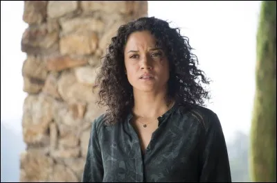 Quel est le grade de Rose Orsini, nouvelle recrue de la Section de Recherches ?