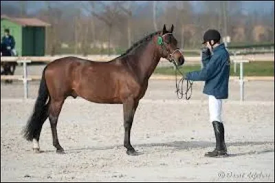 Et celui-là quel est-il ?