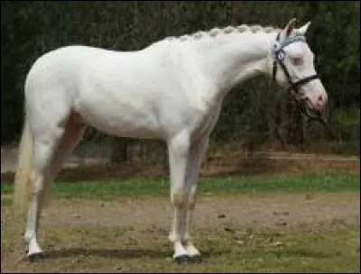 J'avoue que celui6ci n'est pas très connu;