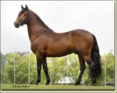 On commence à aller vers une plus grande difficulté.