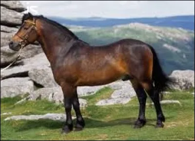 On change de pays ou pas.