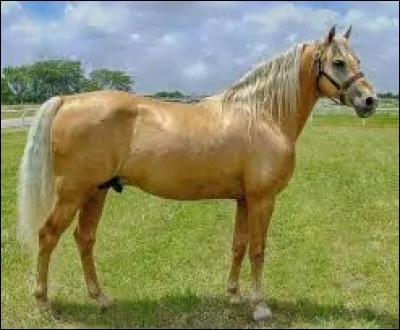 Encore un peu plus dur.