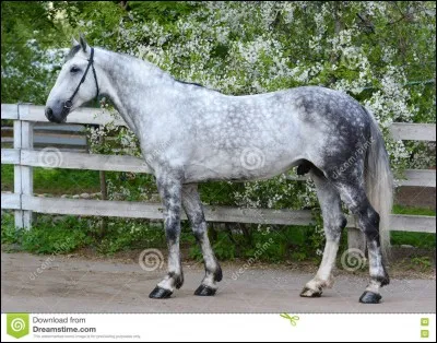 Toujours plus dur, sauf si vous la connaissez bien sûr.