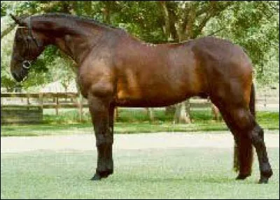 Toujours la même question.