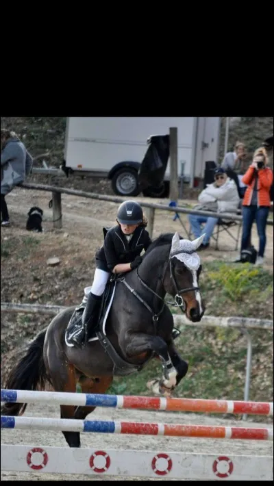 Quel est le type de ce poney ?