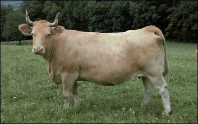 Je vis dans le massif du Vercors. Qui suis-je ?