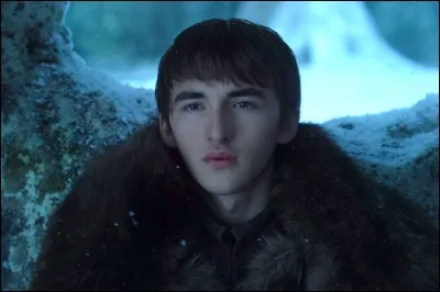 Quelle personne a aidé Bran à développer ses pouvoirs ?