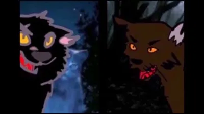 Le jour de son accouchement, elle met bas dans un coin perdu de la forêt. Combien de chatons a-t-elle ?