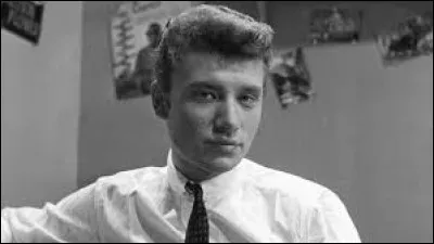 Quel chanteur breton a écrit la chanson intitulée ''20 ans'' pour Johnny Hallyday ?