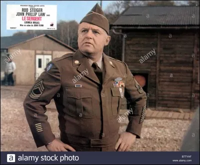 Qui a chant&eacute; " Le rire du sergent " en 1971 ?