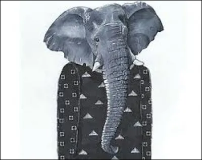 Vous avez la même mémoire que cet animal, je n'en doute pas !