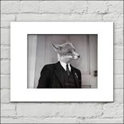 Soyez rusé comme celui-ci !