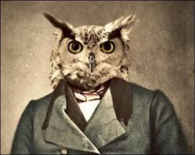 Retrouvez l'animal !