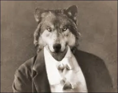 Soufflez un bon coup, et cochez la réponse !