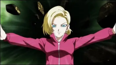 C-18 a failli sortir de l'arène, mais finalement non. Pourquoi ?